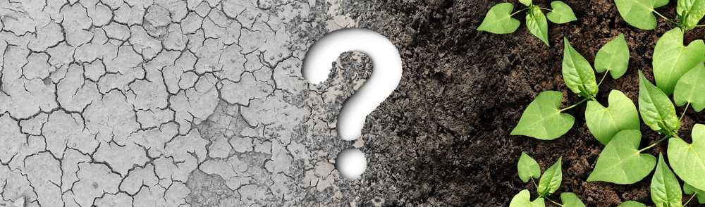 Climate change question as a dried or dry cracked land suffering from drought turning into rich moist organic earth with a growing young plant as a composite.