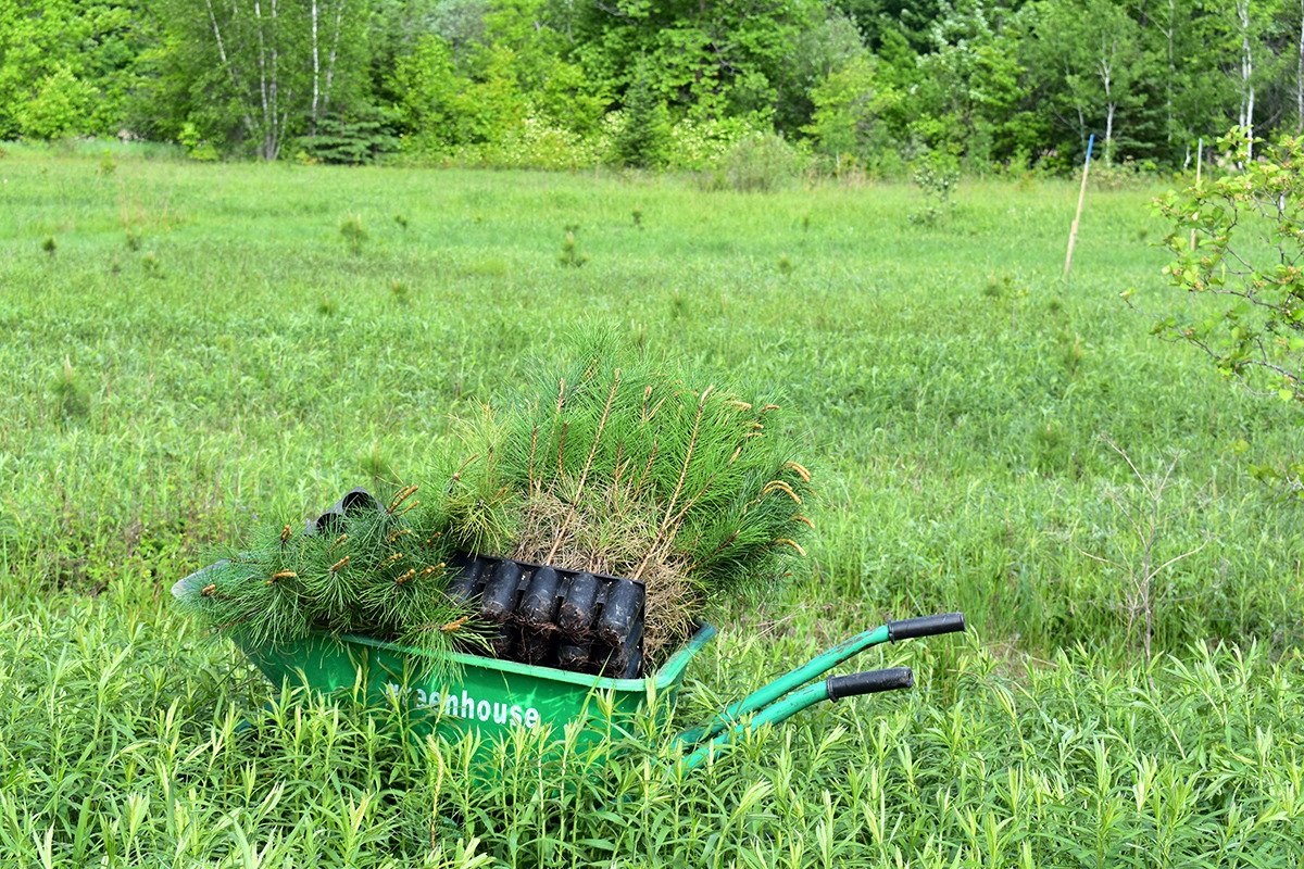 subscription photo 2 desc